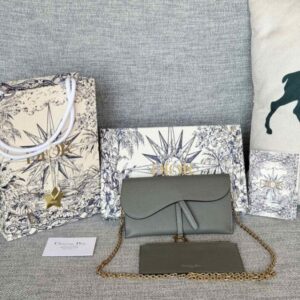 replica dior saddle woc